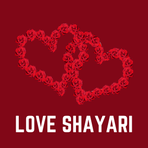 Love Sayari, Love Shayari, Romantic Shayari, Love Care Shayari, Love Status, Love Shayari Hindi, Hindi Status, Hindi Sayari, Hindi Quotes, Hindi Shayari