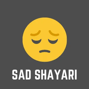 Home Best sad Shayari for the love, breakup, life, etc. Hindi Sayari